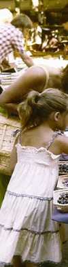 header links